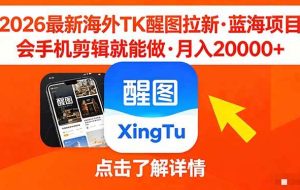 （18112期）26年最新海外Tk醒图拉新，蓝海项目，会手机剪辑就可以做，月入20000＋