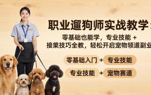 （18115期）职业遛狗师实战教学：零基础也能学，专业技能 + 接单技巧全教，轻松开启宠物赛道副业
