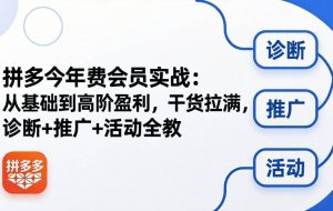（18125期）拼多多年费会员实战(更新26年4月20)：从基础到高阶盈利，干货拉满，诊断+推广+活动全教
