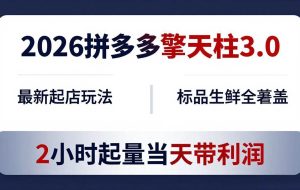 （18128期）2026拼多多擎天柱 3.0-更新4月20：最新起店玩法，标品生鲜全覆盖，2小时起量当天带利润