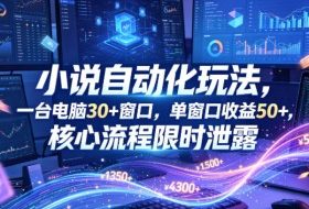小说挂G自动化玩法，一台电脑30+窗口，单窗口收益50+，核心流程限时泄露【揭秘】