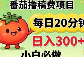 番茄撸稿费，每天20分钟，日入300+！0门槛躺賺，小白直接抄作业【揭秘】