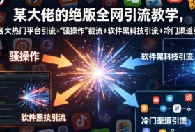 某大佬的绝版全网引流教学，各大热门平台引流+”骚操作”截流+软件黑科技引流+冷门渠道引流等