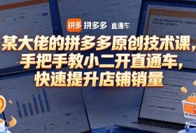 某大佬的拼多多原创技术课，手把手教小二开直通车，快速提升店铺销量