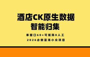 （18154期）2026必做蓝海小众项目，酒店CK原生数据智能归集，单窗口60+可矩阵0人工