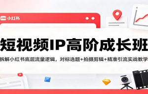 短视频IP高阶成长班：拆解小红书底层流量逻辑，对标选题+拍摄剪辑+ 精准引流实战教学
