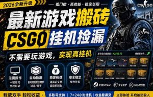 （18182期）最新游戏搬砖，CSGO纯挂机，不需要玩游戏，实现真挂机，月入1W+，五一小高峰上车可吃肉，…