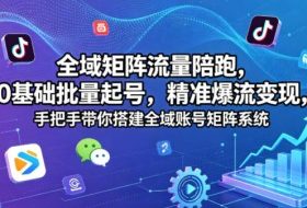 全域矩阵流量陪跑，0基础批量起号，精准爆流变现，手把手带你搭建全域账号矩阵系统