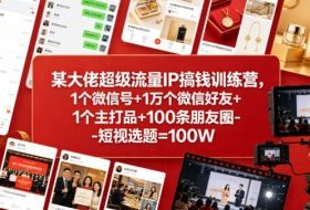 某大佬超级流量IP搞钱训练营，1个微信号+1万个微信好友+1个主打品+100条朋友圈-短视选题=100W