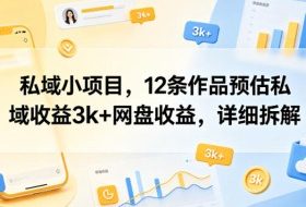 私域小项目，12条作品预估私域收益3k+网盘收益，详细拆解
