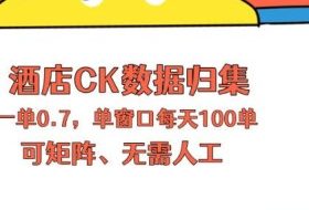 上班也能玩的酒店CK数据归集，一单0.7单窗口每天可做100单，一个人就能矩阵操作【揭秘】