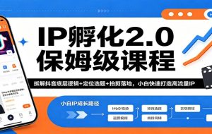 IP孵化2.0保姆级课程：拆解抖音底层逻辑+定位选题+拍剪落地，小白快速打造高流量IP