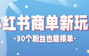 合新手小白操作的小红书商单新玩法，低粉丝也能接单，一个月接三单赚了150+！