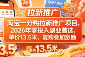 淘宝一分购拉新推广项目，2026年零投入副业首选，单价13.5米，复购叠加激励！