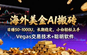 （18276期）海外美金AI搬砖技术Vegas交易技术+聪明软件【训练营第七期】，日赚50-100U