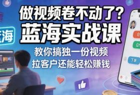 做视频卷不动了？蓝海实战课教你搞独一份视频，拉客户还能轻松賺钱！【原创双语字幕】