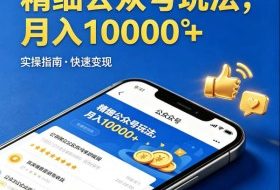 精细化公众号玩法，我们给你提供文章，你来负责发布，收益可观，月入1W+【揭秘】