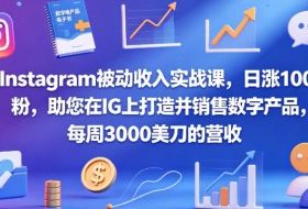Instagram被动收入实战课，日涨100粉，助您在IG上打造并销售数字产品，每周3000美刀的营收【原创双语字幕】