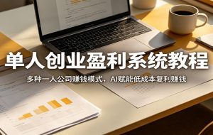 单人创业盈利系统教程：多种一人公司赚钱模式，AI赋能低成本复利赚钱