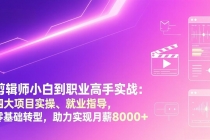 剪辑师小白到职业高手实战：四大项目实操、就业指导，零基础转型，助力实现月薪8000+