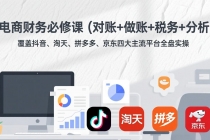 电商财务必修课（对账+做账+税务+分析）覆盖抖音、淘天、拼多多、京东四大主流平台全盘实操