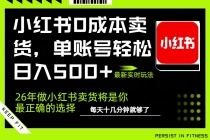 小红书0成本AI卖货，单账号轻松日入500+，完全托管AI，可矩阵放大