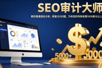 SEO审计大师：教你精通网站分析，修复SEO问题，为有效的审核收费5000美元以上！
