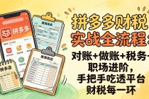 拼多多财税实操全流程：对账+做账+税务+职场进阶，手把手吃透平台财税每一环