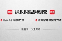 拼多多实战特训营(更新5月3)：不管是新手入门或老商家冲量，都有实操方法，跟着学，少走弯路