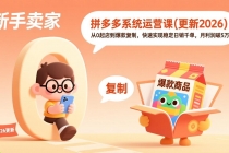拼多多系统运营课(更新4月)，从0起店到爆款复制，快速实现稳定日销千单，月利润破5万