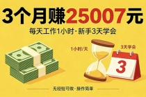 3个月赚钱25007元，每天工作1个小时，新手3天全部学会！