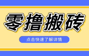利用豆包去水印下载工具赚钱玩法，零成本零门槛多种收益月入5000+