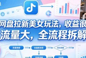 B站网盘拉新美女玩法，收益很稳定，流量大，全流程拆解
