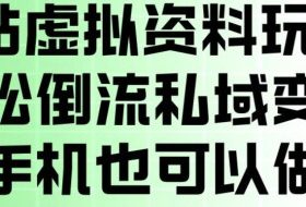 B站虚拟资料玩法，轻松倒流私域变现，一部手机就可以做