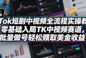 TikTok短剧中视频全流程实操教学，零基础入局TK中视频赛道，批量做号轻松賺取美金收益