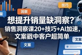想提升销量缺洞察？销售洞察课20+技巧+AI加速，文案戳中客户超简单【原创双语字幕】