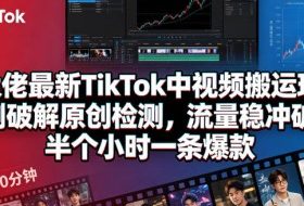 某大佬最新TikTok中视频搬运玩法，实测破解原创检测，流量稳冲破万，半个小时一条爆款