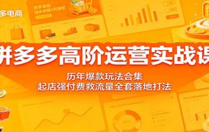 拼多多高阶运营实战课：历年爆款玩法合集，起店强付费救流量全套落地打法