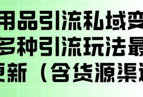 成人用品引流私域变现玩法,多种引流玩法最新玩法,操作简单(含货源渠道)