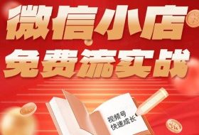 微信小店免费流实战，有货源无货源双模式，从开店到爆单全实操课，小白也能月入1W+