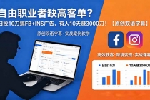 自由职业者缺高客单？日投 10 刀搞 FB+INS 广告，有人 10 天赚 3000 刀！【原创双语字幕】