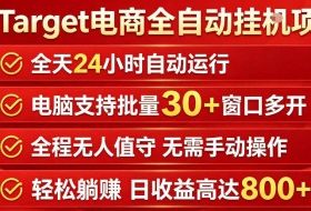 Target电商全自动挂G项目，电脑可批量30+窗口运行，日收益入800，全程无人值守，无需手动操作【揭秘】