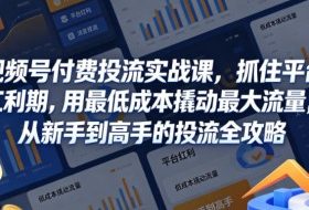 视频号付费投流实战课，抓住平台红利期，用最低成本撬动最大流量，从新手到高手的投流全攻略
