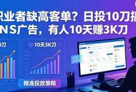 自由职业者缺高客单？日投10刀搞FB+INS广告，有人10天赚3K刀！【原创双语字幕】