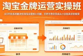 淘宝金牌运营实操班，从0开始系统解决你淘宝运营核心问题，手把手带你完成从小白到高手的蜕变