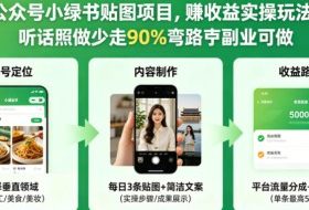 公众号小绿书贴图项目，赚收益实操玩法，听话照听话照少走90%弯路丨副业可做