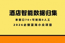 酒店智能数据归集，小众蓝海已经稳定半年之久，单窗口70+零成本矩阵开干