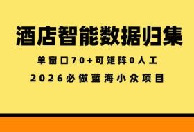 酒店智能数据归集，小众蓝海已经稳定半年之久，单窗口70+零成本矩阵开干【揭秘】