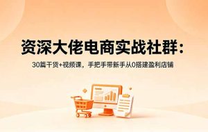 资深大佬电商实战社群:30篇干货+视频课,手把手带新手从0搭建盈利店铺