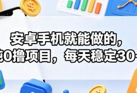 安卓手机就能做的,纯0撸项目,每天稳定30+